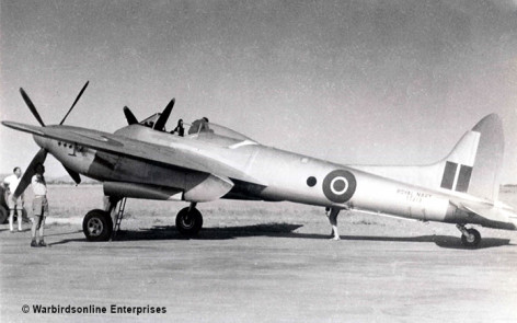 De havilland dh. 103 sea hornet woomera    | warbirds online