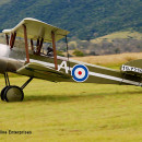 Sopwith Pup replica, Watts Bridge Qld