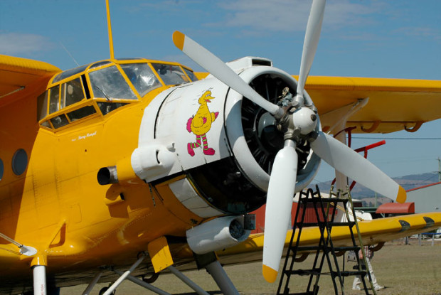 Antonov An-2 Australian Colt