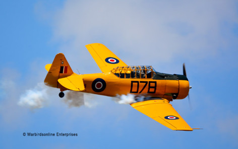 T6 Harvard Tauranga airshow 2014