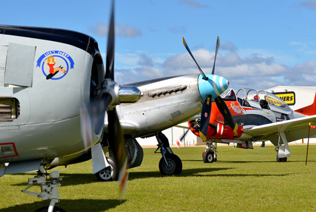 Warbirds at David Hack 2014