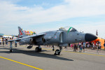 British Aerospace Sea Harrier FA2s static display - Yeovilton airshow 2014