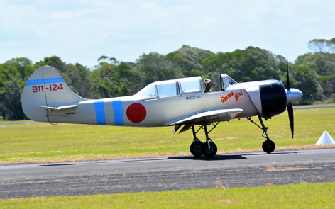 Yakovlev Yak 52- Geisha Girl