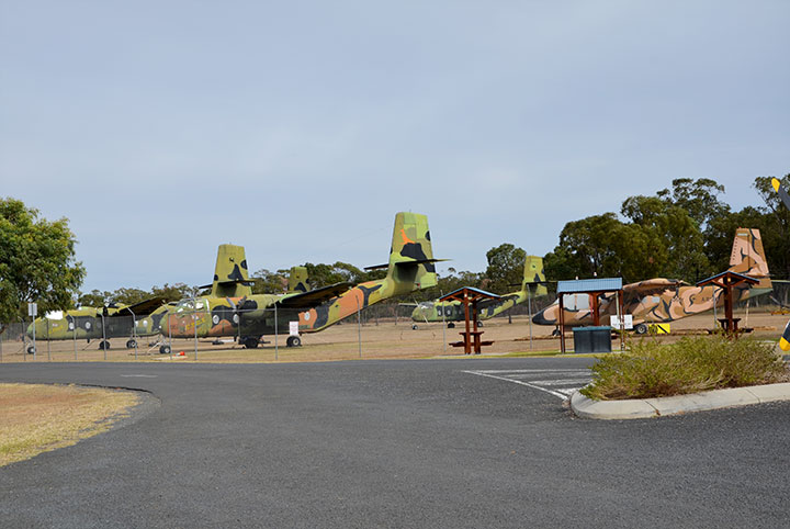 Caribou lined up for dismantling