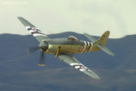 Hawker Sea Fury VH-SHF | Warbirds Online