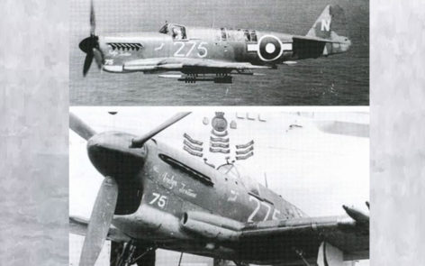 The real firefly dk431 of no 1771 squadron rn during service in 1945 on hms implacable off japan    | warbirds online